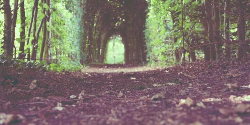 Top 10 Nursing Jobs in the USA for 2026